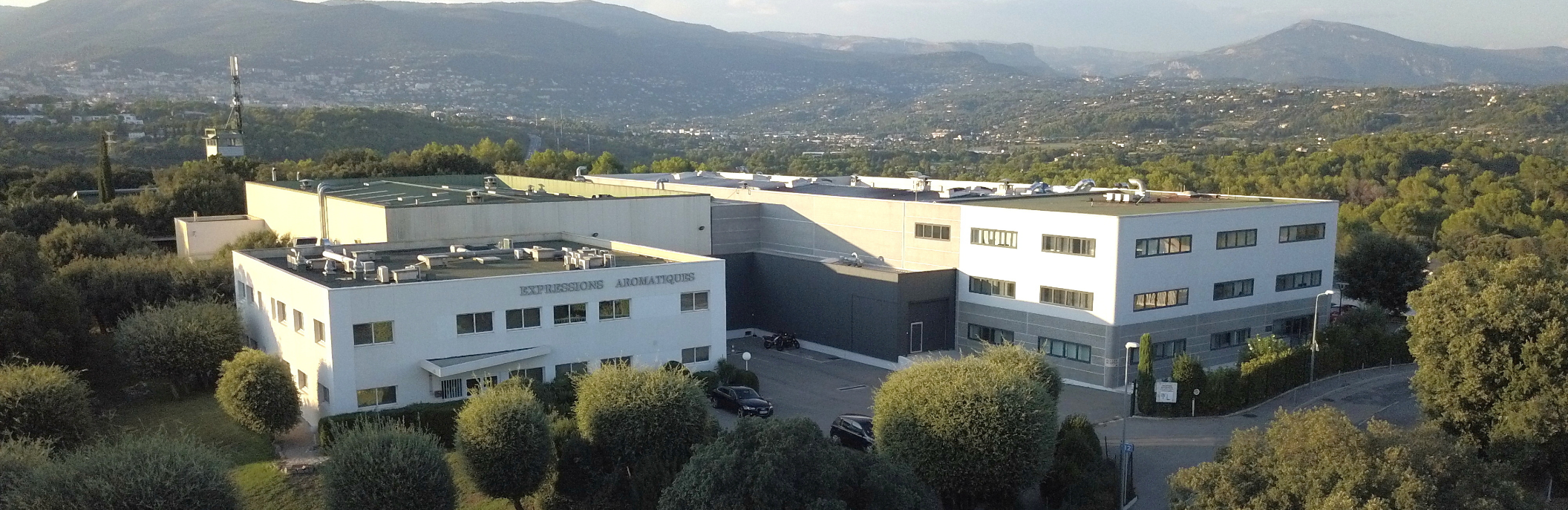 La empresa La empresa